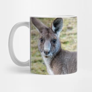 Eastern Grey Kangaroo Mug